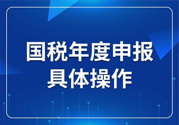 國稅年度申報具體操作